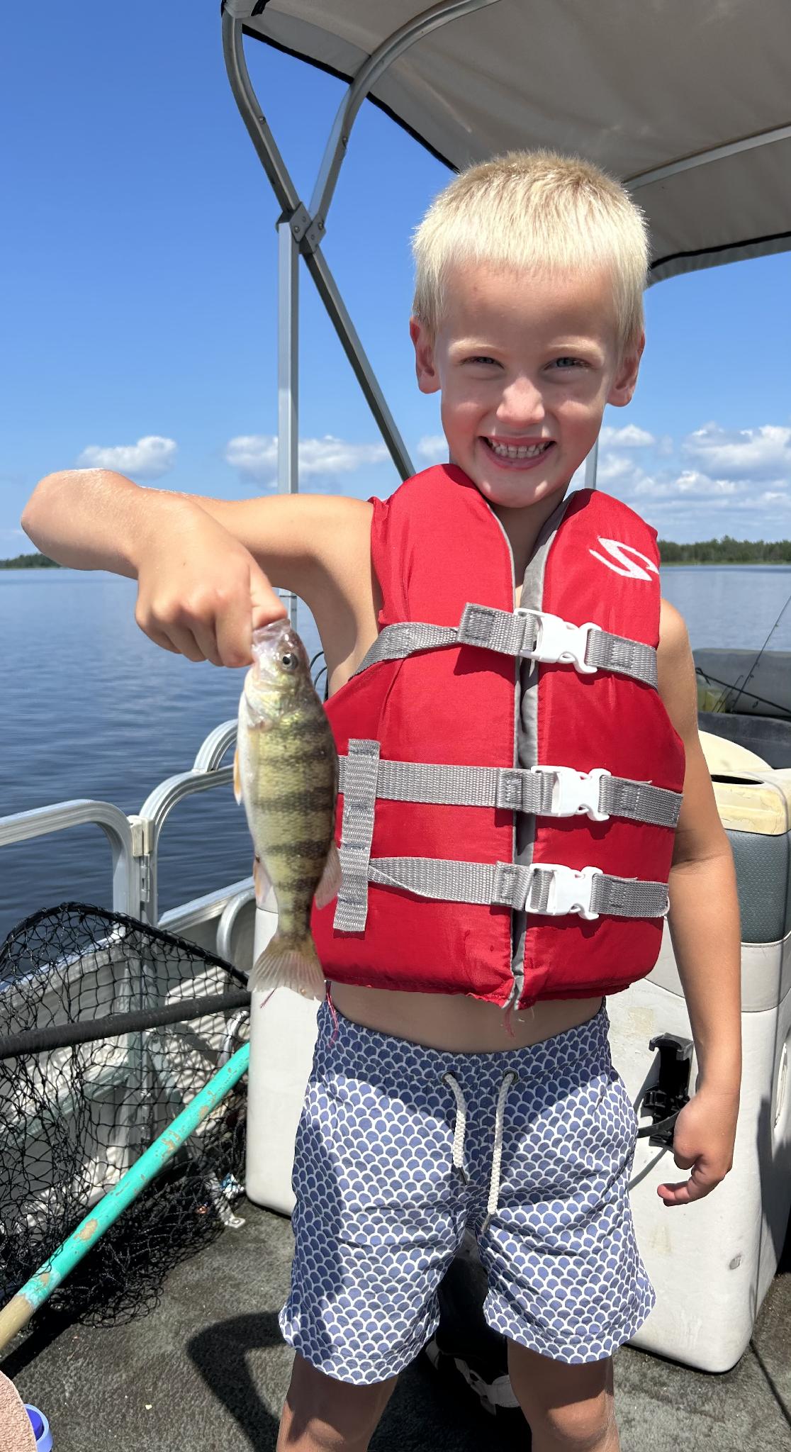 Look For The Shoreline Breaks Rainy Lake Gazette